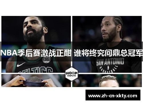 NBA季后赛激战正酣 谁将终究问鼎总冠军