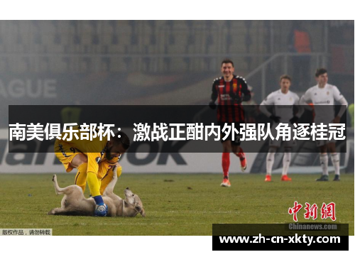 南美俱乐部杯：激战正酣内外强队角逐桂冠