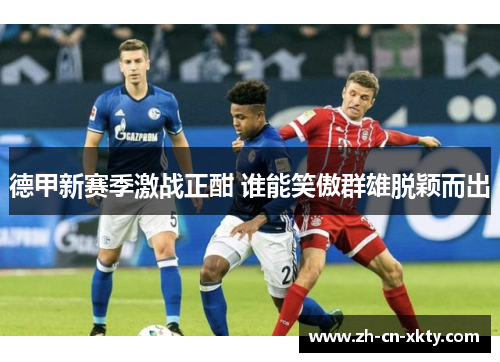 德甲新赛季激战正酣 谁能笑傲群雄脱颖而出